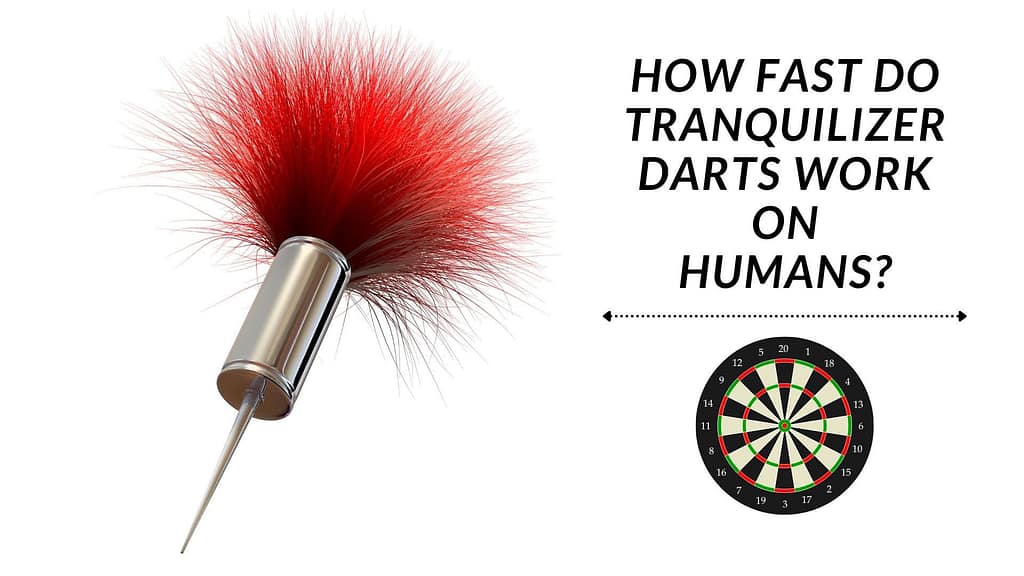 how-fast-do-tranquilizer-darts-work-on-humans